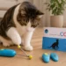 Clickertraining für Katzen: Katze wird mit Clicker trainiert
